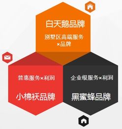 小棉襖北京管理咨詢與吉視傳媒共同推動垂直孵化器的落地