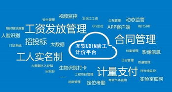 上海互聯(lián)網(wǎng)軟件集團 高端協(xié)同管理軟件與企業(yè)管理咨詢服務(wù)提供商